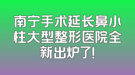 南宁手术延长鼻小柱大型整形医院全新出炉了!