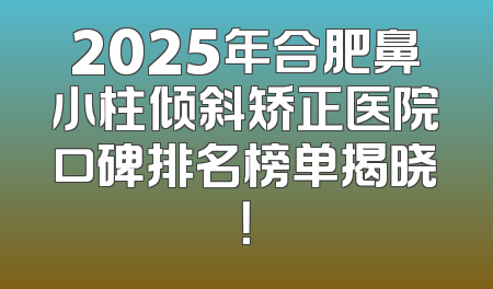 2025年合肥鼻小柱倾斜矫正医院口碑排名榜单揭晓！