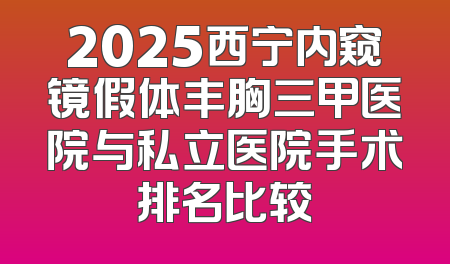 2025西宁内窥镜假体丰胸三甲医院与私立医院手术排名比较
