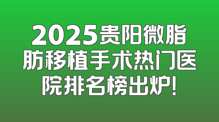 2025贵阳微脂肪移植手术热门医院排名榜出炉！