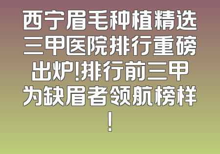 西宁眉毛种植精选三甲医院排行重磅出炉！排行前三甲为缺眉者领航榜样！