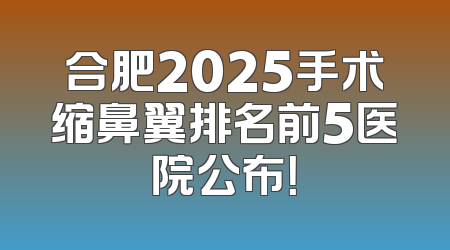 合肥2025手术缩鼻翼排名前5医院公布！