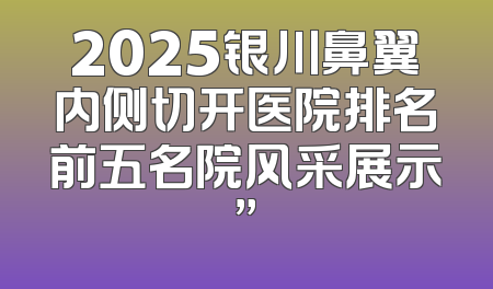 2025银川鼻翼内侧切开医院排名前五名院风采展示”