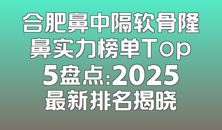 合肥鼻中隔软骨隆鼻实力榜单Top5盘点：2025最新排名揭晓