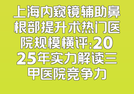 上海内窥镜辅助鼻根部提升术热门医院规模横评：2025年实力解读三甲医院竞争力