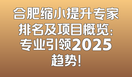 合肥缩小提升专家排名及项目概览：专业引领2025趋势！