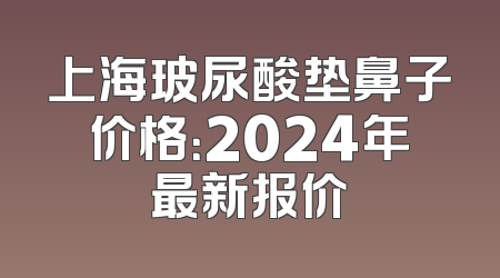 上海玻尿酸垫鼻子价格：2024年最新报价