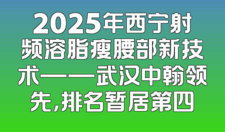 2025年西宁射频溶脂瘦腰部新技术——武汉中翰领先，排名暂居第四