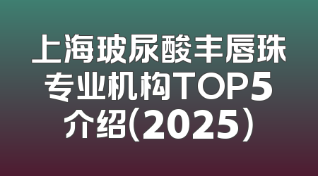 上海玻尿酸丰唇珠专业机构TOP5介绍（2025）