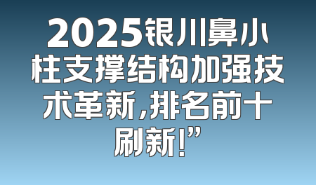2025银川鼻小柱支撑结构加强技术革新，排名前十刷新！”