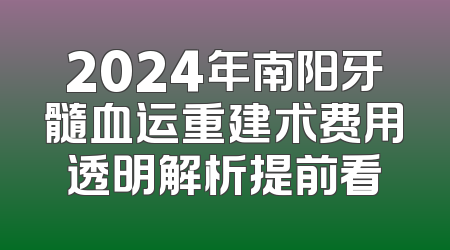 2024年南阳牙髓血运重建术费用透明解析提前看