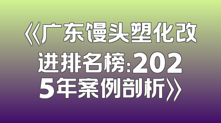 《广东馒头塑化改进排名榜：2025年案例剖析》
