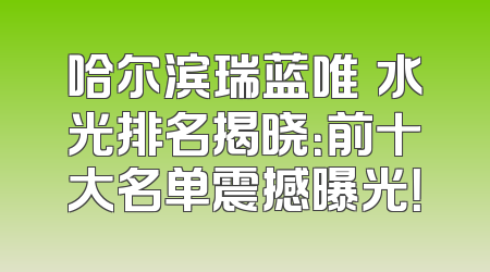 哈尔滨瑞蓝唯瑅水光排名揭晓：前十大名单震撼曝光！