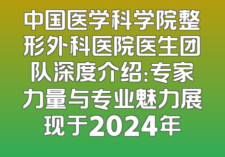 中国医学科学院整形外科医院医生团队深度介绍：专家力量与专业魅力展现于2024年