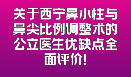 关于西宁鼻小柱与鼻尖比例调整术的公立医生优缺点全面评价！
