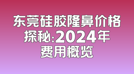 东莞硅胶隆鼻价格探秘：2024年费用概览