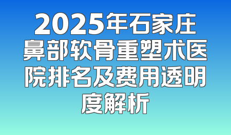 2025年石家庄鼻部软骨重塑术医院排名及费用透明度解析