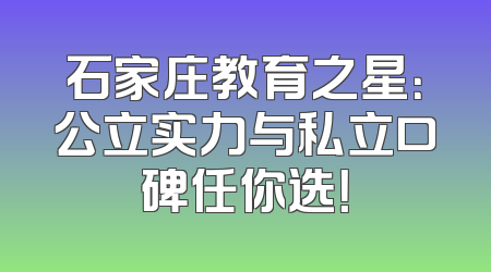 石家庄教育之星：公立实力与私立口碑任你选！