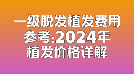 一级脱发植发费用参考：2024年植发价格详解