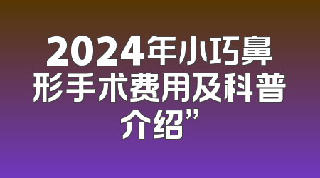 2024年小巧鼻形手术费用及科普介绍”
