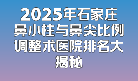 2025年石家庄鼻小柱与鼻尖比例调整术医院排名大揭秘