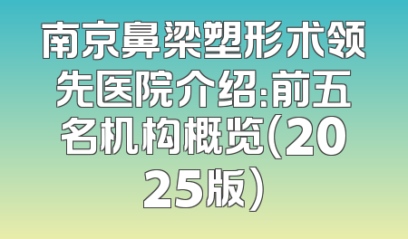 南京鼻梁塑形术领先医院介绍：前五名机构概览（2025版）