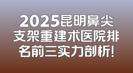 2025昆明鼻尖支架重建术医院排名前三实力剖析！