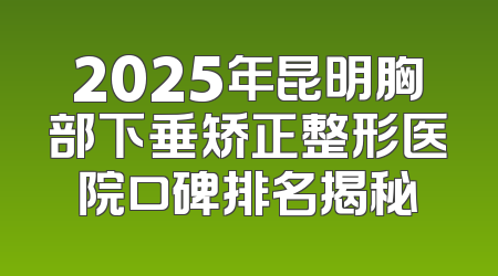 2025年昆明胸部下垂矫正整形医院口碑排名揭秘