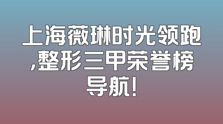 上海薇琳时光领跑，整形三甲荣誉榜导航！