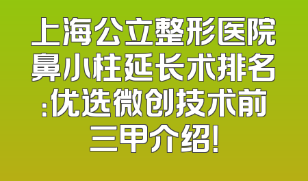 上海公立整形医院鼻小柱延长术排名：优选微创技术前三甲介绍！
