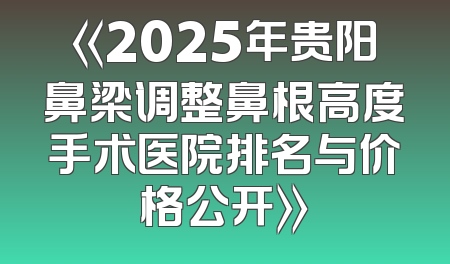 《2025年贵阳鼻梁调整鼻根高度手术医院排名与价格公开》