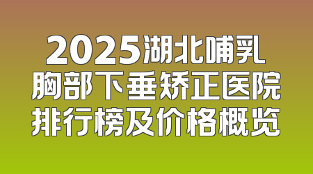 2025湖北哺乳胸部下垂矫正医院排行榜及价格概览