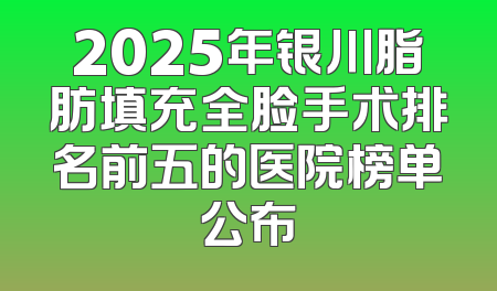 2025年银川脂肪填充全脸手术排名前五的医院榜单公布