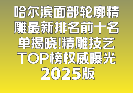 哈尔滨面部轮廓精雕最新排名前十名单揭晓！精雕技艺TOP榜权威曝光 2025版