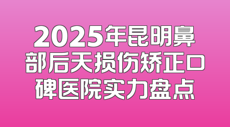 2025年昆明鼻部后天损伤矫正口碑医院实力盘点