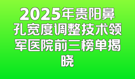 2025年贵阳鼻孔宽度调整技术领军医院前三榜单揭晓