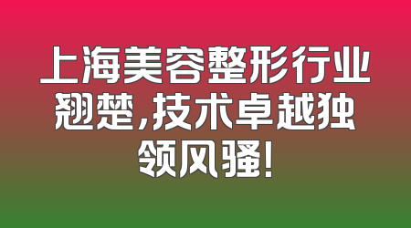 上海美容整形行业翘楚，技术卓越独领风骚！