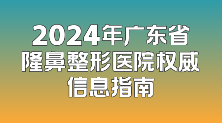 2024年广东省隆鼻整形医院权威信息指南