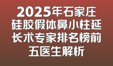 2025年石家庄硅胶假体鼻小柱延长术专家排名榜前五医生解析