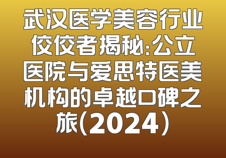 武汉医学美容行业佼佼者揭秘：公立医院与爱思特医美机构的卓越口碑之旅（2024）