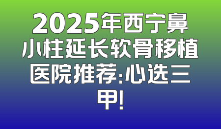 2025年西宁鼻小柱延长软骨移植医院推荐：心选三甲！
