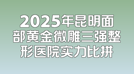 2025年昆明面部黄金微雕三强整形医院实力比拼