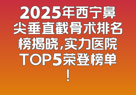 2025年西宁鼻尖垂直截骨术排名榜揭晓，实力医院TOP5荣登榜单！