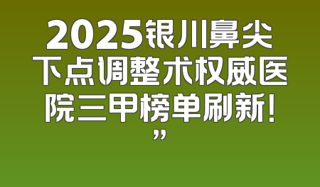2025银川鼻尖下点调整术权威医院三甲榜单刷新！”