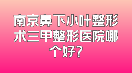 南京鼻下小叶整形术三甲整形医院哪个好？