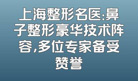 上海整形名医：鼻子整形豪华技术阵容，多位专家备受赞誉