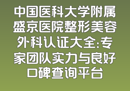 中国医科大学附属盛京医院整形美容外科认证大全：专家团队实力与良好口碑查询平台