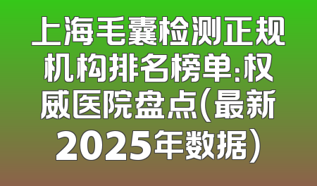 上海毛囊检测正规机构排名榜单：权威医院盘点（最新2025年数据）