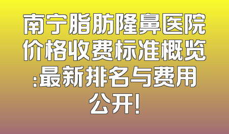南宁脂肪隆鼻医院价格收费标准概览：最新排名与费用公开！