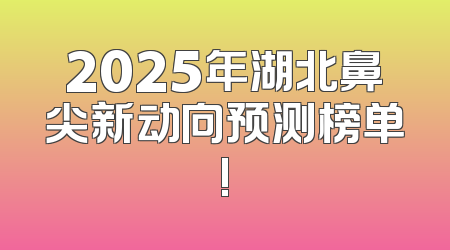 2025年湖北鼻尖新动向预测榜单!